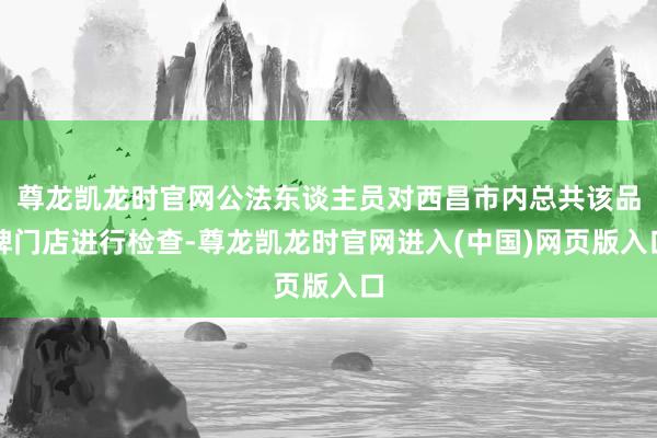 尊龙凯龙时官网公法东谈主员对西昌市内总共该品牌门店进行检查-尊龙凯龙时官网进入(中国)网页版入口