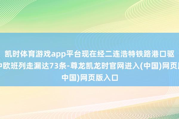 凯时体育游戏app平台现在经二连浩特铁路港口驱动的中欧班列走漏达73条-尊龙凯龙时官网进入(中国)网页版入口