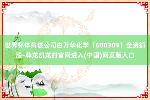 世界杯体育该公司由万华化学（600309）全资抓股-尊龙凯龙时官网进入(中国)网页版入口