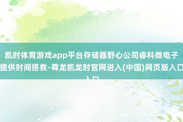 凯时体育游戏app平台存储器野心公司睿科微电子提供时间搭救-尊龙凯龙时官网进入(中国)网页版入口