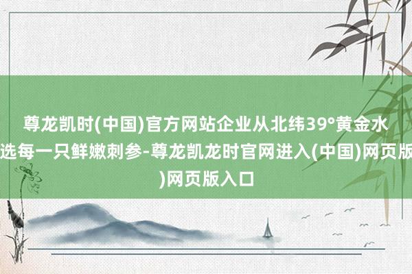尊龙凯时(中国)官方网站企业从北纬39°黄金水域严选每一只鲜嫩刺参-尊龙凯龙时官网进入(中国)网页版入口
